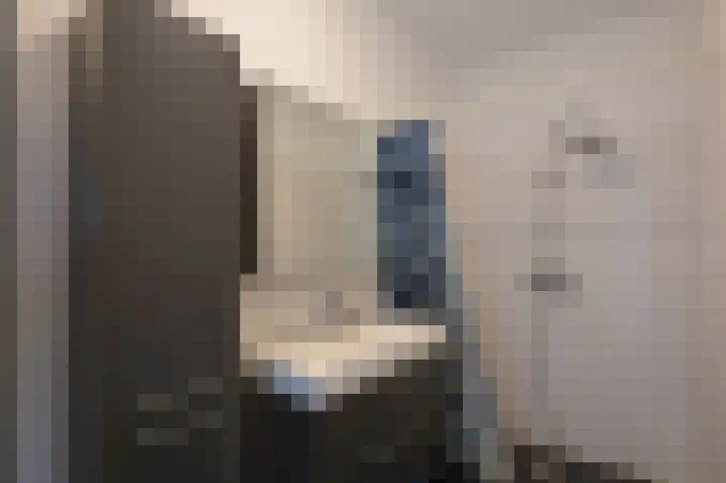 Zilverschoonlaan 114 Krommenie thumbnail 14