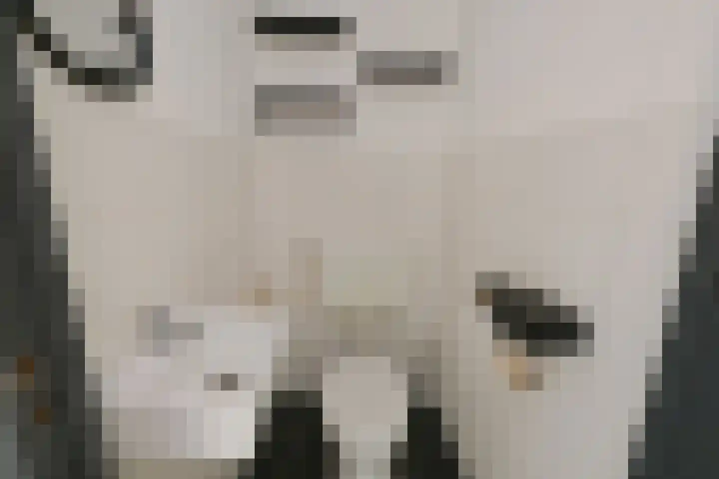 Zilverschoonlaan 114 Krommenie thumbnail 15