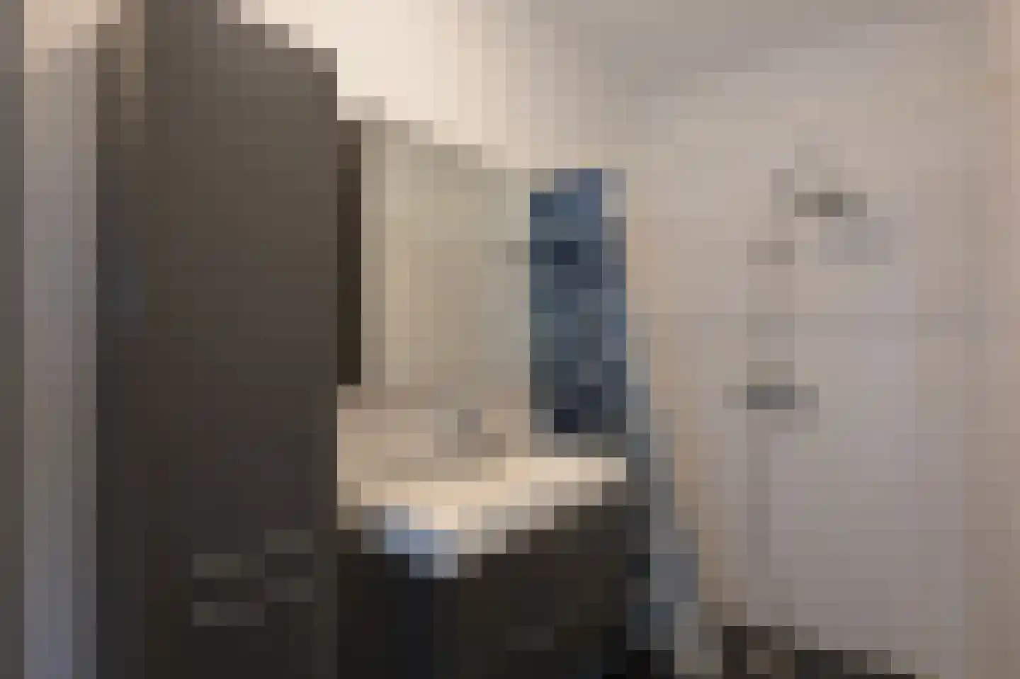 Zilverschoonlaan 114 Krommenie thumbnail 17