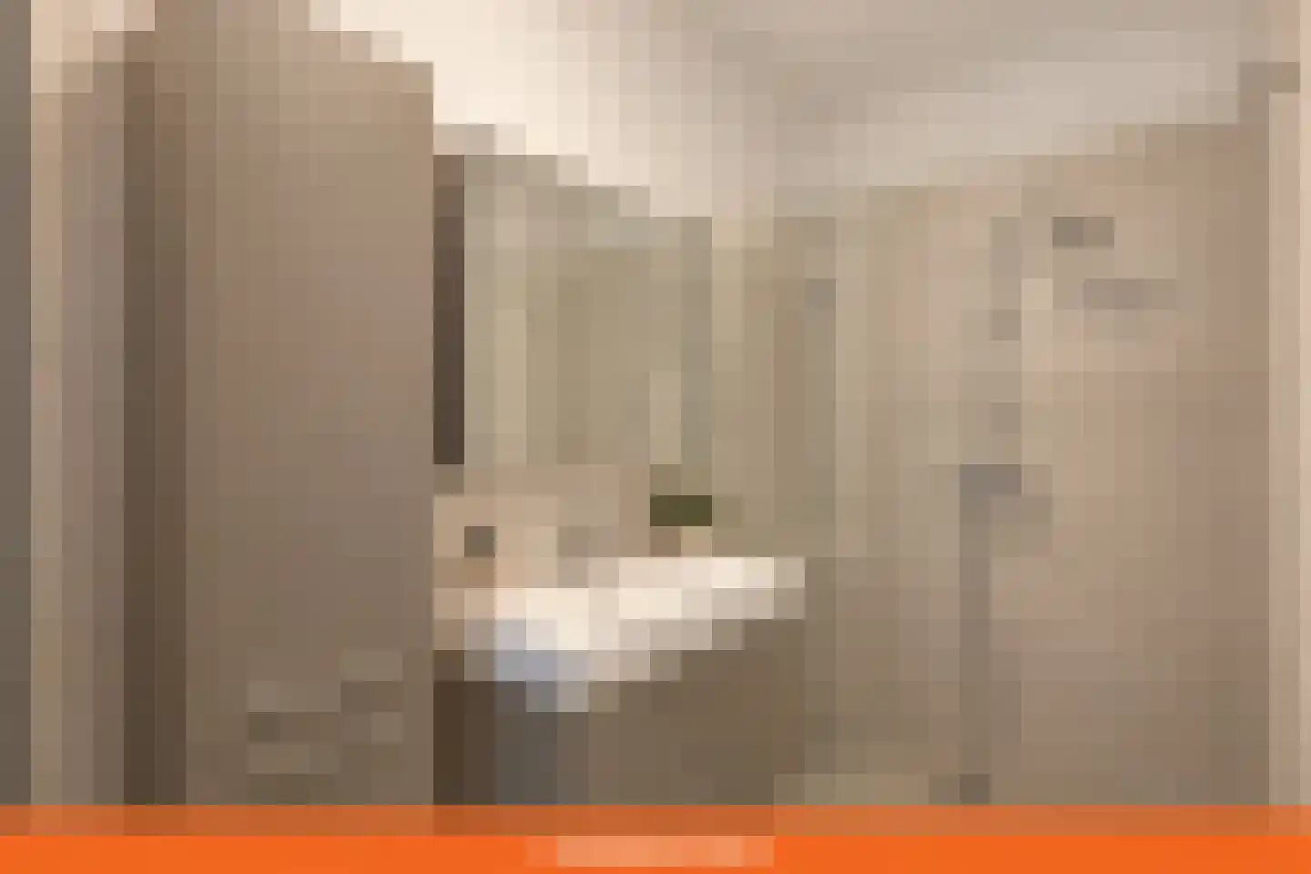 Zilverschoonlaan 114 Krommenie thumbnail 18