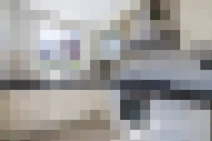 Zilverschoonlaan 23 Beilen thumbnail 18