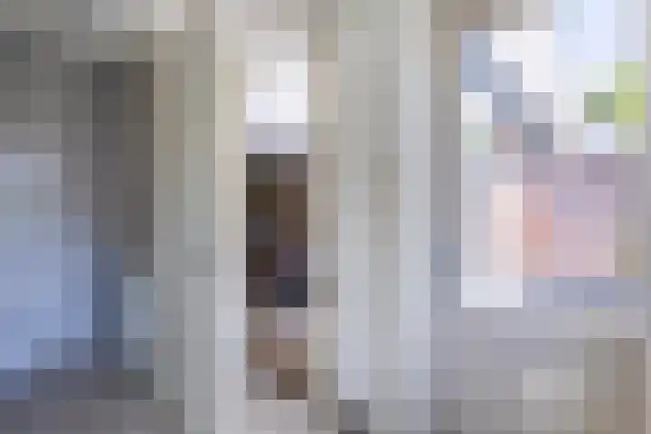 Zilverschoonlaan 23 Beilen thumbnail 20