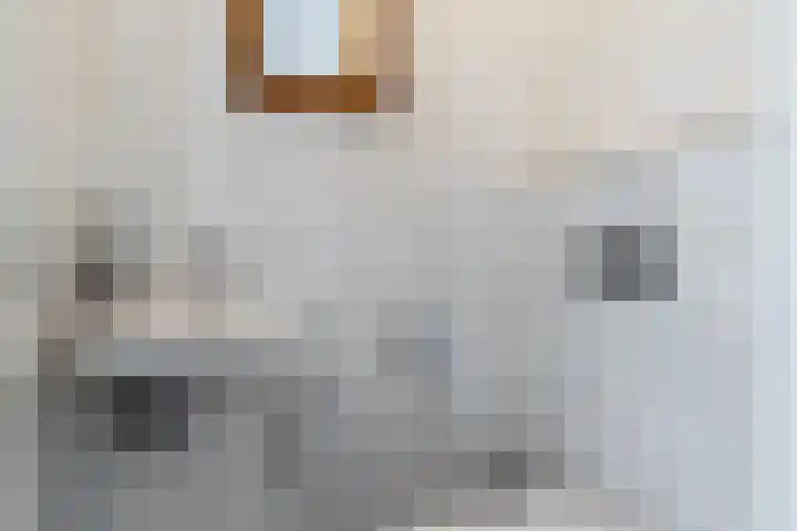 Zilverschoonlaan 23 Beilen thumbnail 23