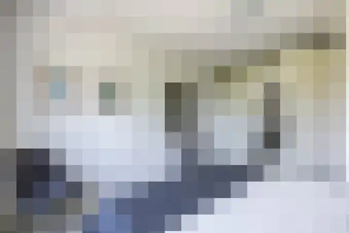 Zilverschoonlaan 23 Beilen thumbnail 32