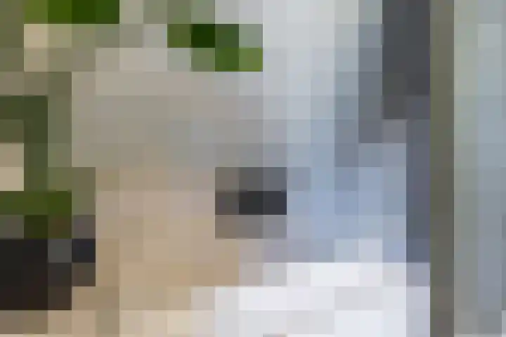 Zilverschoonlaan 23 Beilen thumbnail 35