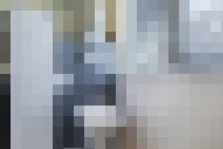 Zilverschoonlaan 23 Beilen thumbnail 37