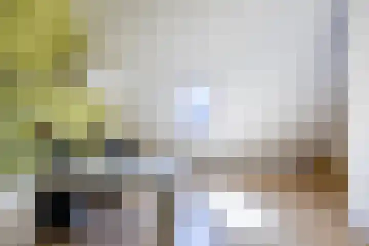 Zilverschoonlaan 23 Beilen thumbnail 41