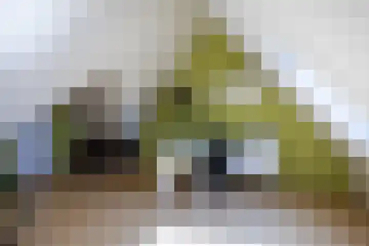Zilverschoonlaan 23 Beilen thumbnail 42