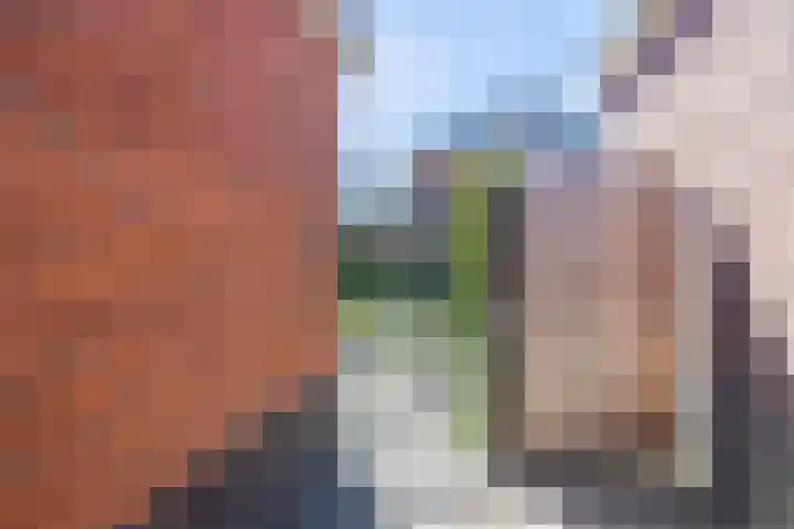 Zilverschoonlaan 23 Beilen thumbnail 45