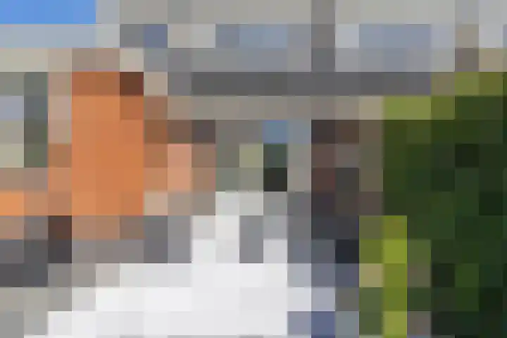 Zilverschoonlaan 23 Beilen thumbnail 46