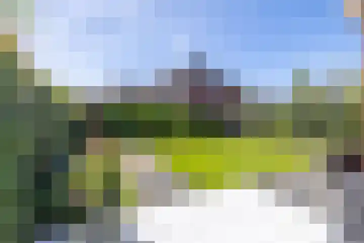 Zilverschoonlaan 23 Beilen thumbnail 47