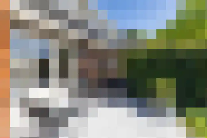 Zilverschoonlaan 23 Beilen thumbnail 48