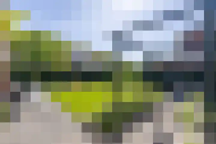 Zilverschoonlaan 23 Beilen thumbnail 49