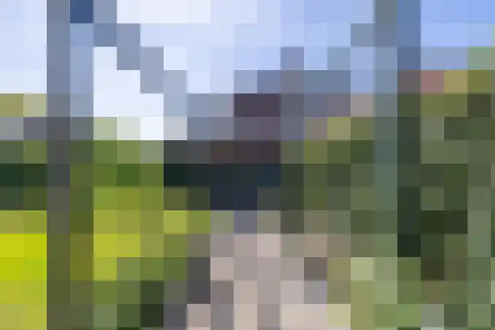 Zilverschoonlaan 23 Beilen thumbnail 50