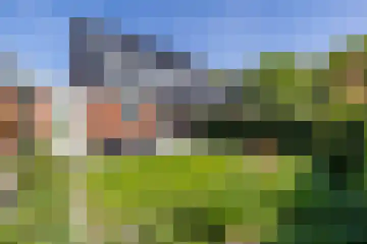 Zilverschoonlaan 23 Beilen thumbnail 51