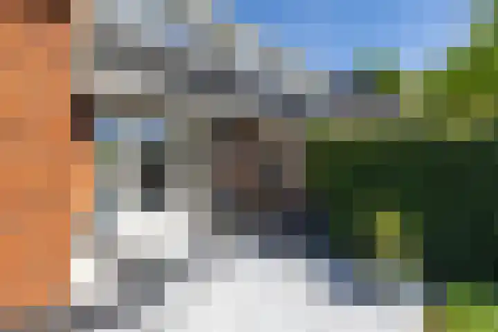 Zilverschoonlaan 23 Beilen thumbnail 53