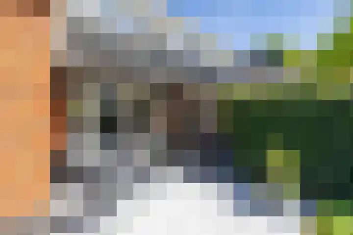 Zilverschoonlaan 23 Beilen thumbnail 54
