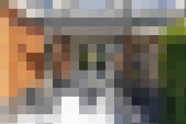 Zilverschoonlaan 23 Beilen thumbnail 55