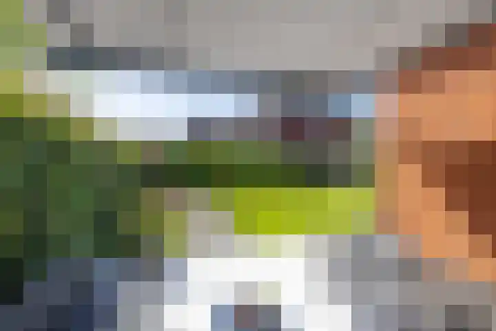 Zilverschoonlaan 23 Beilen thumbnail 56