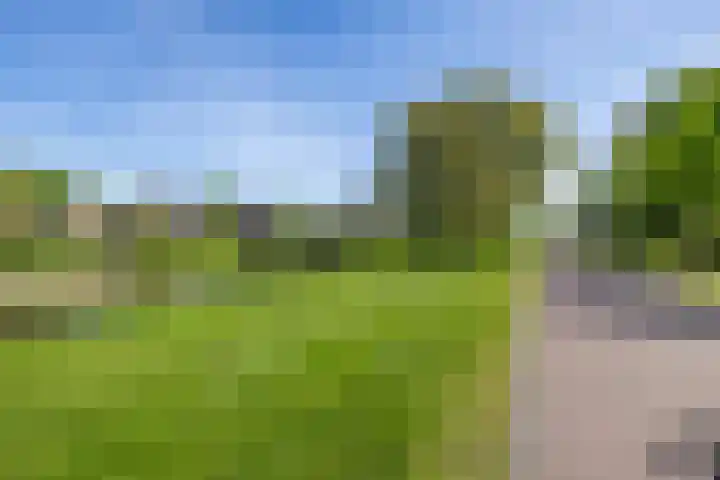 Zilverschoonlaan 23 Beilen thumbnail 57