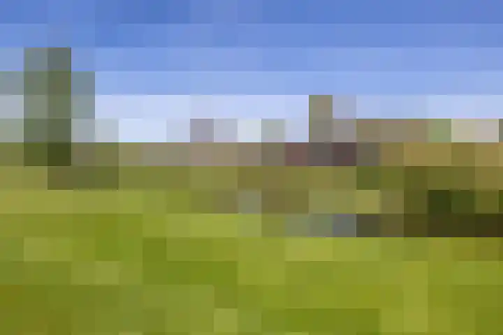 Zilverschoonlaan 23 Beilen thumbnail 58