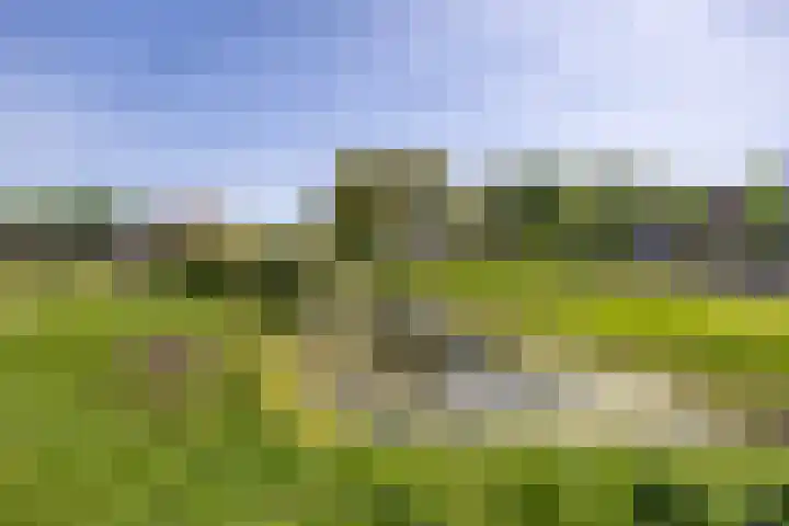 Zilverschoonlaan 23 Beilen thumbnail 59
