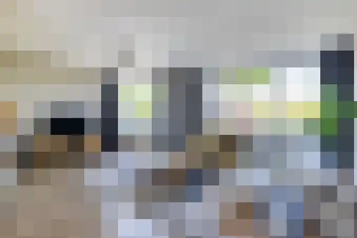 Zilverschoonlaan 23 Beilen thumbnail 9