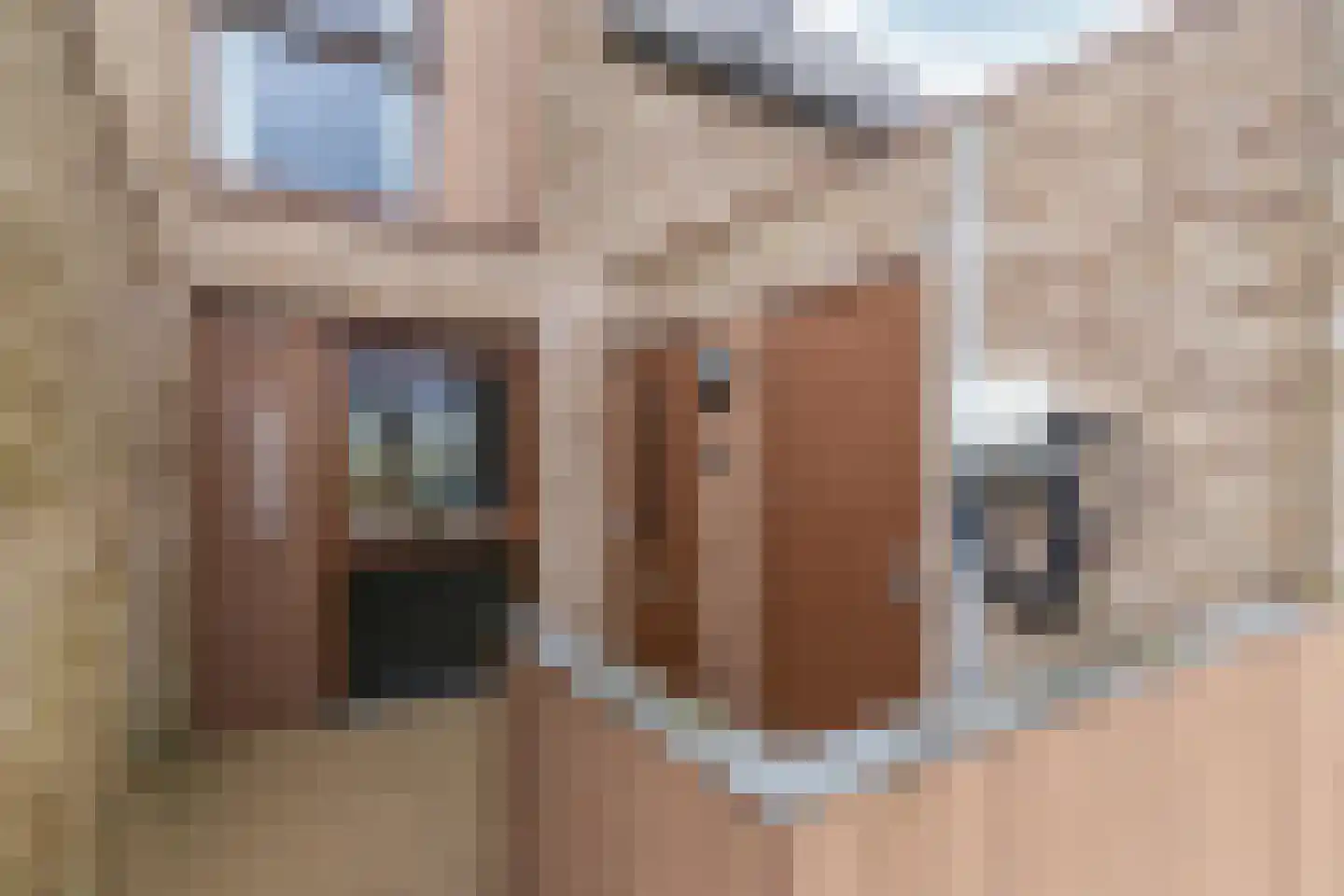 Zilverschoonlaan 257 Lelystad thumbnail 6