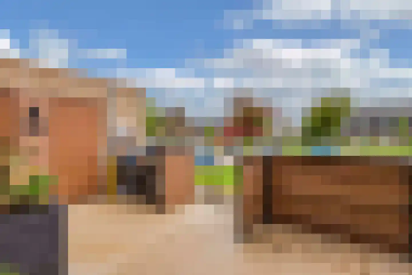 Zilverschoonlaan 261 Lelystad thumbnail 11