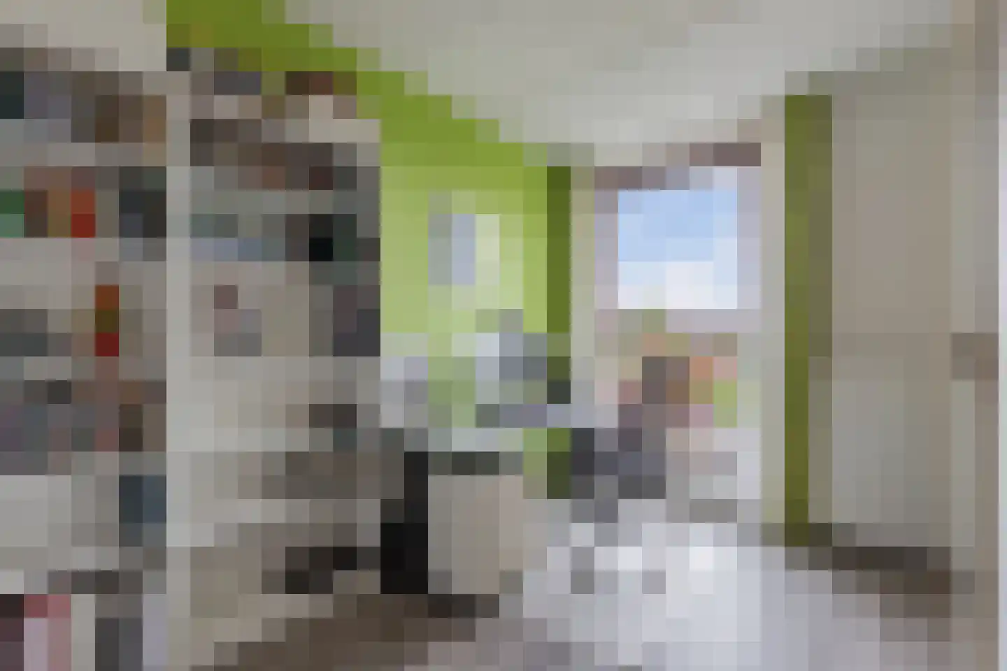 Zilverschoonlaan 261 Lelystad thumbnail 29