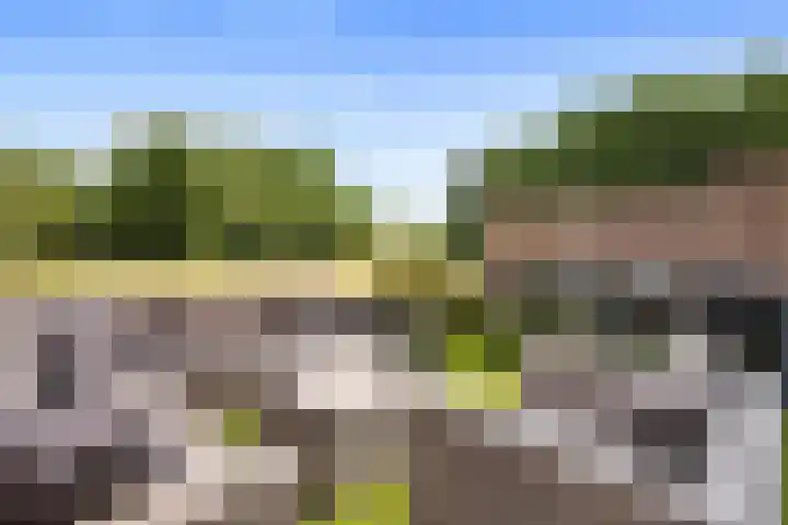 Zilverschoonlaan 269 Lelystad thumbnail 34