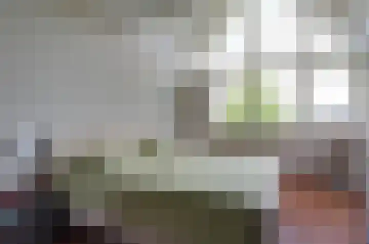 Zilverschoonlaan 27 Beilen thumbnail 20