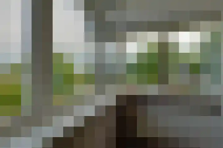Zilverschoonlaan 27 Beilen thumbnail 22