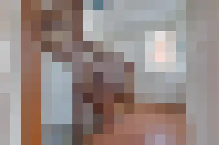 Zilverschoonlaan 27 Beilen thumbnail 29