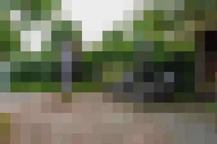 Zilverschoonlaan 27 Beilen thumbnail 32
