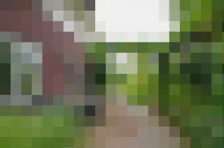 Zilverschoonlaan 27 Beilen thumbnail 35