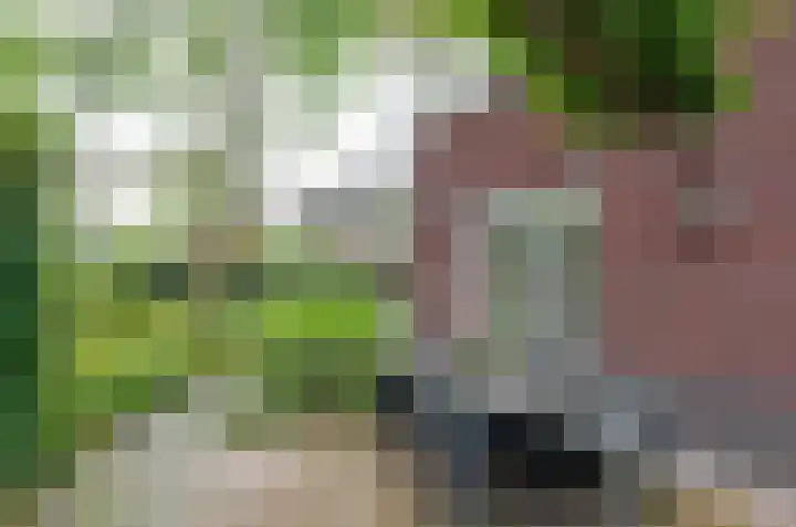 Zilverschoonlaan 27 Beilen thumbnail 36