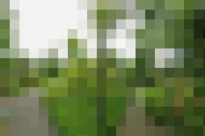 Zilverschoonlaan 27 Beilen thumbnail 37