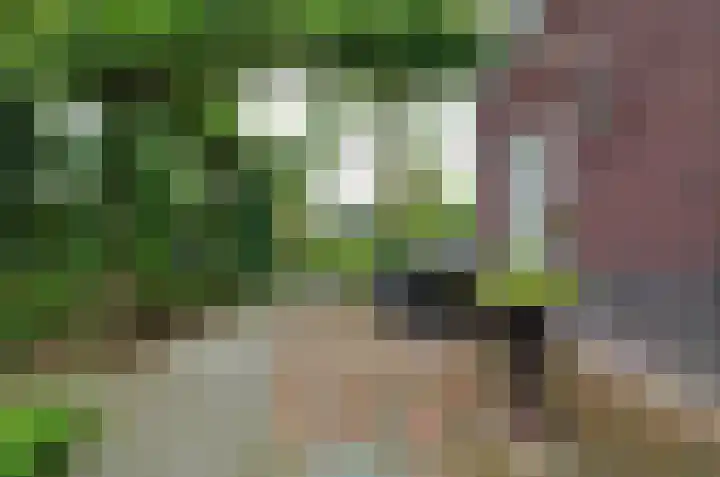 Zilverschoonlaan 27 Beilen thumbnail 39