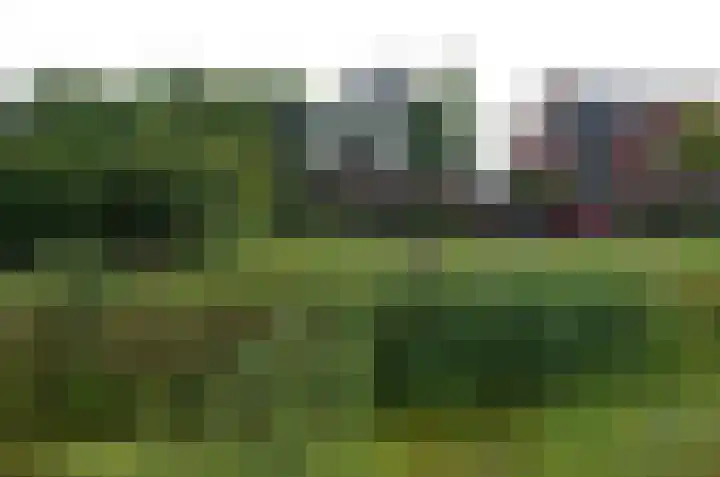 Zilverschoonlaan 27 Beilen thumbnail 4