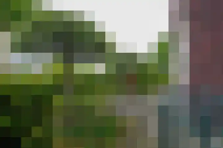 Zilverschoonlaan 27 Beilen thumbnail 40