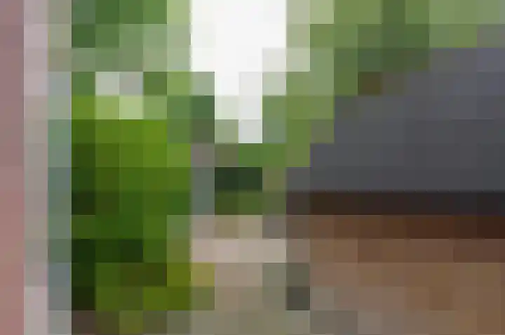 Zilverschoonlaan 27 Beilen thumbnail 41