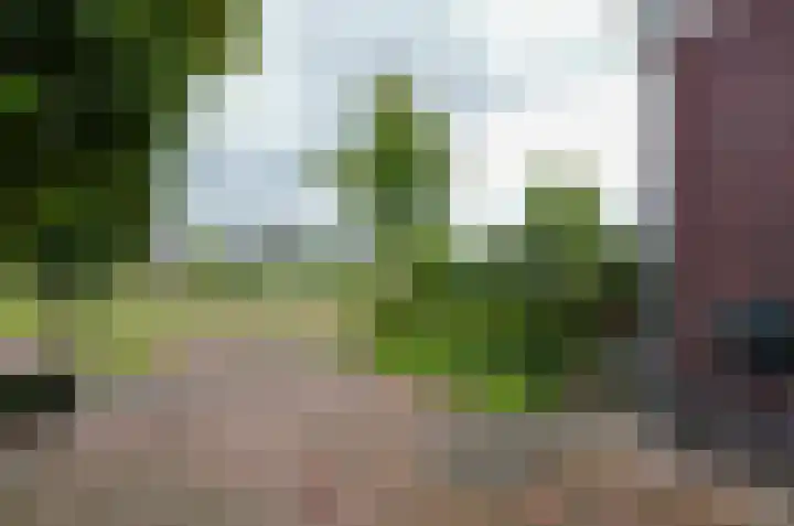Zilverschoonlaan 27 Beilen thumbnail 42