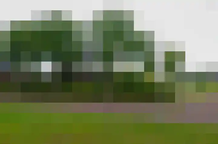 Zilverschoonlaan 27 Beilen thumbnail 43