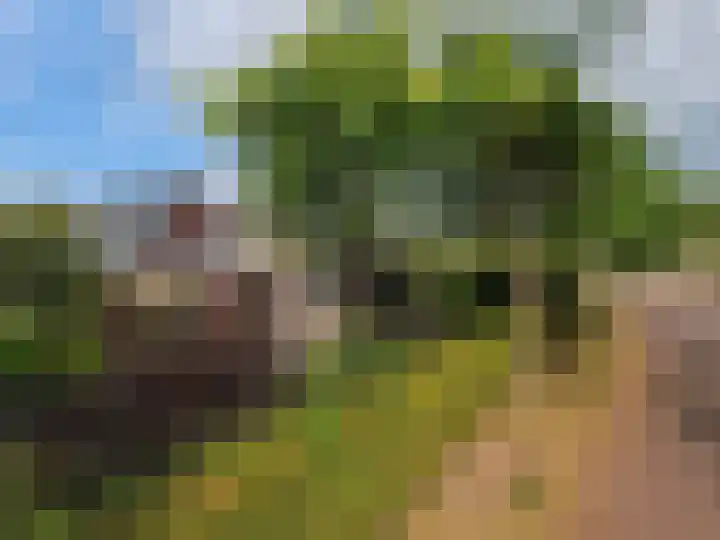 Zilverschoonlaan 27 Beilen thumbnail 44
