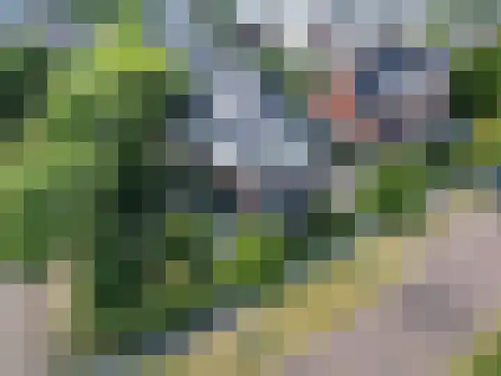 Zilverschoonlaan 27 Beilen thumbnail 45