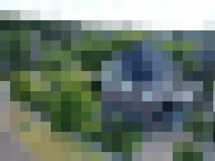 Zilverschoonlaan 27 Beilen thumbnail 46