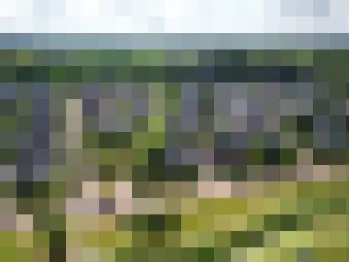 Zilverschoonlaan 27 Beilen thumbnail 47