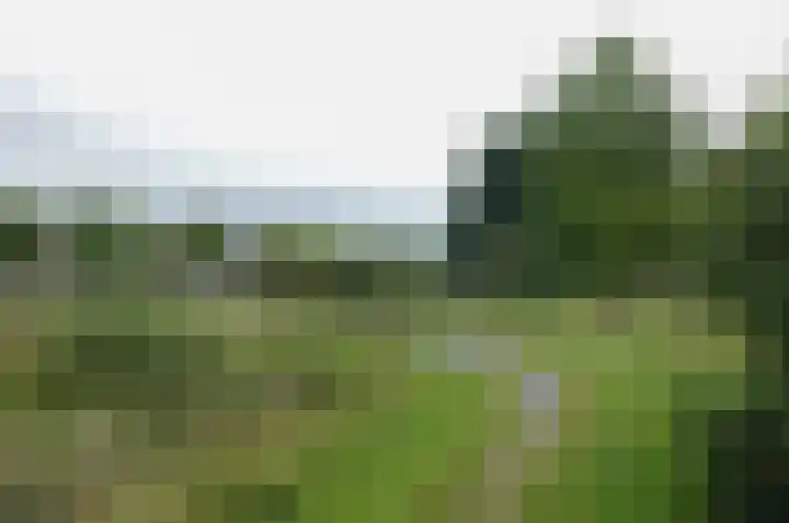 Zilverschoonlaan 27 Beilen thumbnail 48