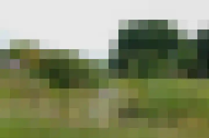 Zilverschoonlaan 27 Beilen thumbnail 49